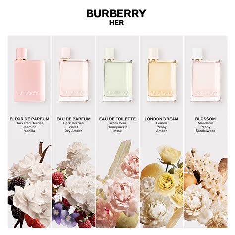 fragrance notes in burberry her|Burberry Her elixir fragrantica.